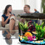 Your one-stop shop for diverse, top-quality aquarium supplies and accessories