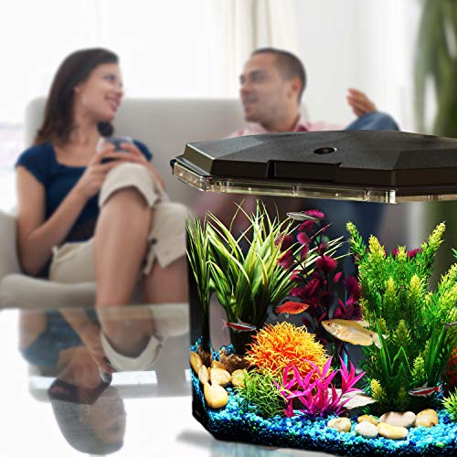 Your one-stop shop for diverse, top-quality aquarium supplies and accessories