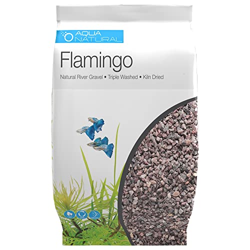 Your one-stop shop for diverse, top-quality aquarium supplies and accessories
