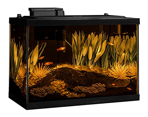 Your one-stop shop for diverse, top-quality aquarium supplies and accessories