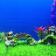 Your one-stop shop for diverse, top-quality aquarium supplies and accessories