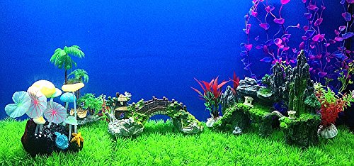 Your one-stop shop for diverse, top-quality aquarium supplies and accessories