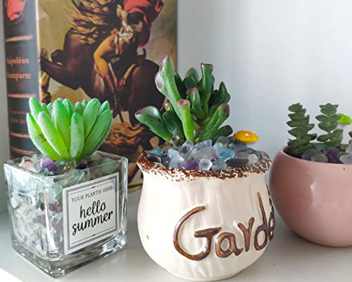 Your one-stop shop for diverse, top-quality aquarium supplies and accessories