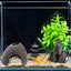 Your one-stop shop for diverse, top-quality aquarium supplies and accessories