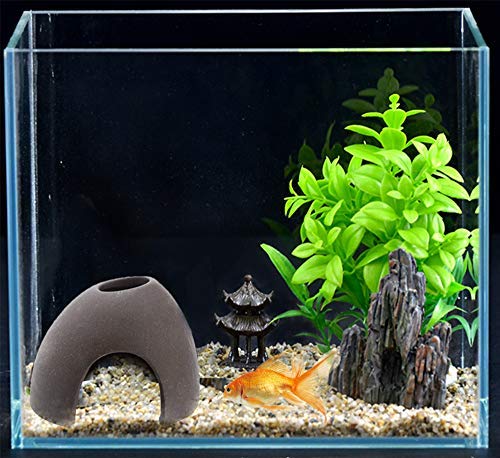 Your one-stop shop for diverse, top-quality aquarium supplies and accessories