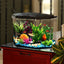 Your one-stop shop for diverse, top-quality aquarium supplies and accessories