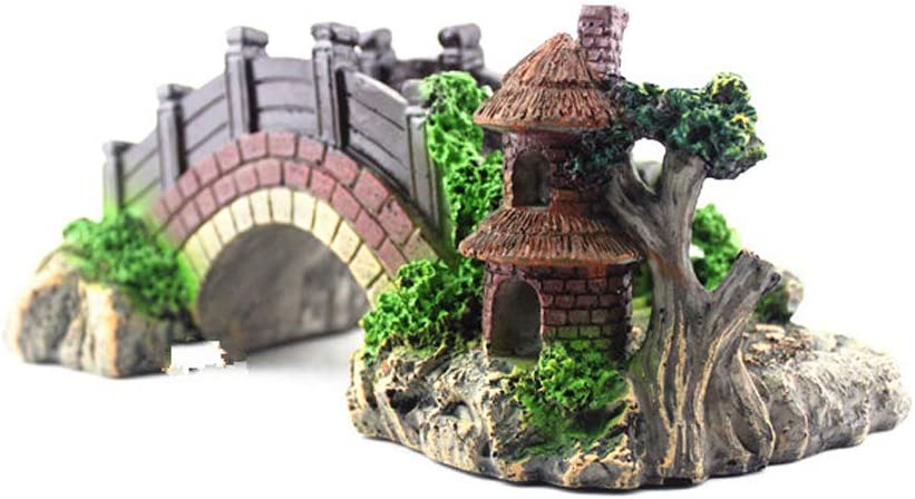 Your one-stop shop for diverse, top-quality aquarium supplies and accessories