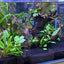 Your one-stop shop for diverse, top-quality aquarium supplies and accessories