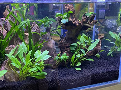 Your one-stop shop for diverse, top-quality aquarium supplies and accessories