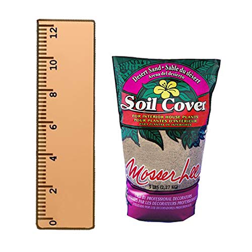 Your one-stop shop for diverse, top-quality aquarium supplies and accessories