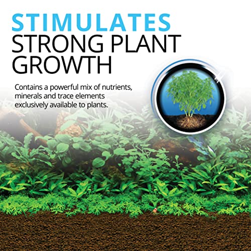 Your one-stop shop for diverse, top-quality aquarium supplies and accessories