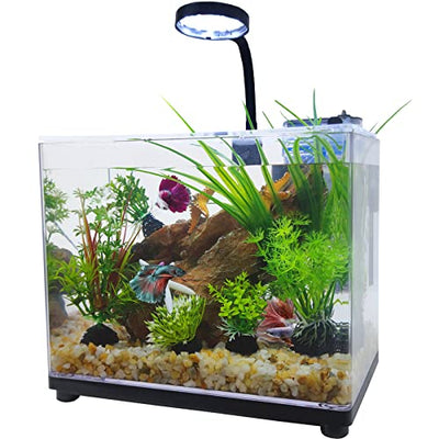 Your one-stop shop for diverse, top-quality aquarium supplies and accessories