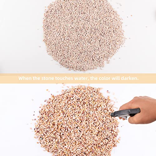 Your one-stop shop for diverse, top-quality aquarium supplies and accessories