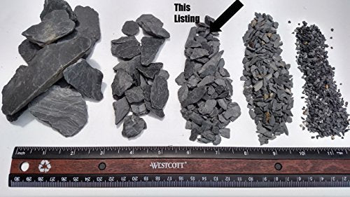 Your one-stop shop for diverse, top-quality aquarium supplies and accessories