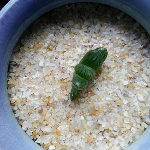 Your one-stop shop for diverse, top-quality aquarium supplies and accessories