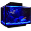 Your one-stop shop for diverse, top-quality aquarium supplies and accessories