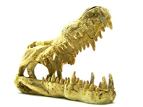 Your one-stop shop for diverse, top-quality aquarium supplies and accessories