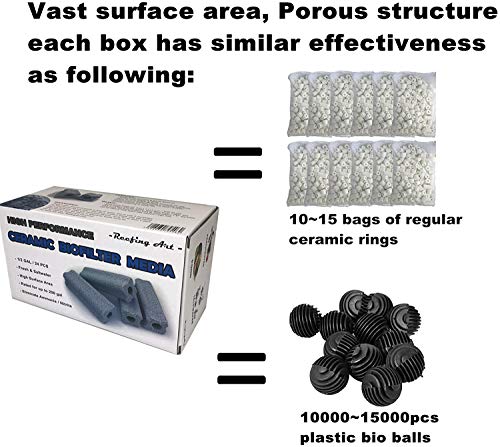 Your one-stop shop for diverse, top-quality aquarium supplies and accessories