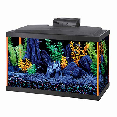 Your one-stop shop for diverse, top-quality aquarium supplies and accessories