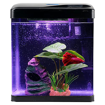 Your one-stop shop for diverse, top-quality aquarium supplies and accessories