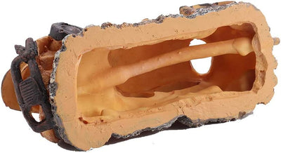 Your one-stop shop for diverse, top-quality aquarium supplies and accessories