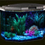 Your one-stop shop for diverse, top-quality aquarium supplies and accessories