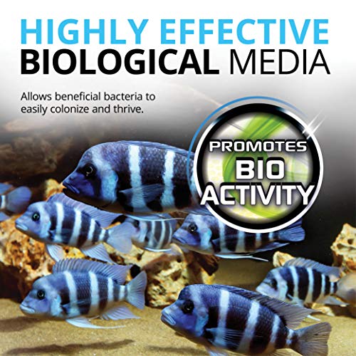 Your one-stop shop for diverse, top-quality aquarium supplies and accessories