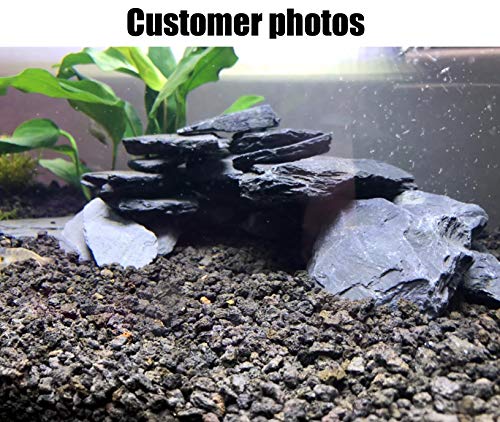 Your one-stop shop for diverse, top-quality aquarium supplies and accessories