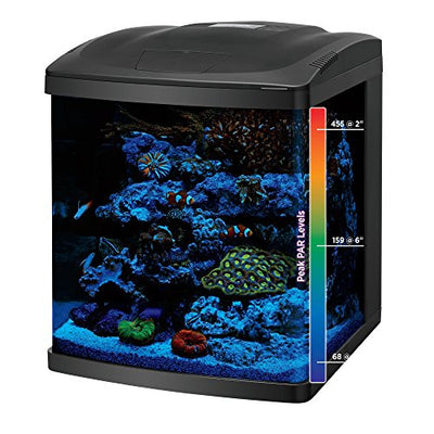 Your one-stop shop for diverse, top-quality aquarium supplies and accessories