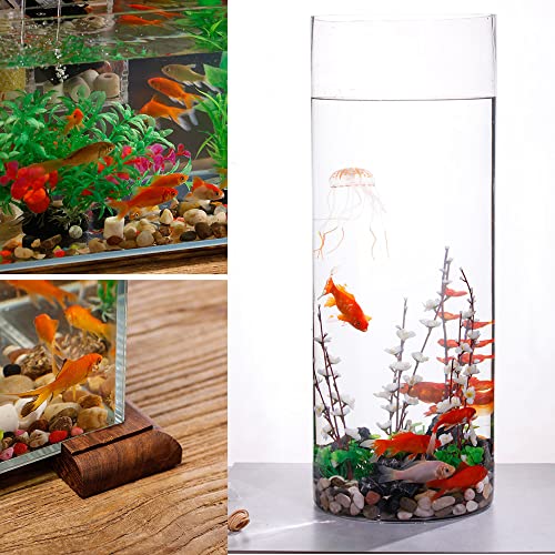 Your one-stop shop for diverse, top-quality aquarium supplies and accessories