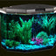 Your one-stop shop for diverse, top-quality aquarium supplies and accessories
