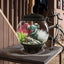 Your one-stop shop for diverse, top-quality aquarium supplies and accessories