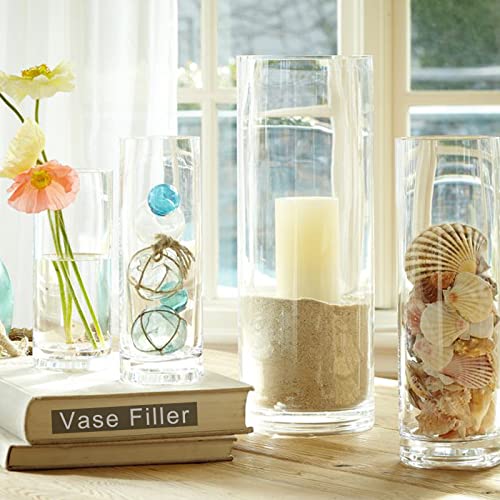 Your one-stop shop for diverse, top-quality aquarium supplies and accessories