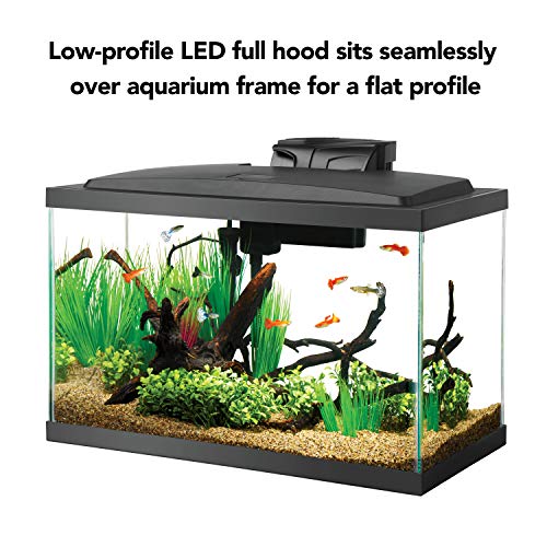 Aqueon Aquarium Fish Tank Starter Kit with LED Lighting 10 Gallon Fish – Supply AG