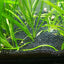 Your one-stop shop for diverse, top-quality aquarium supplies and accessories