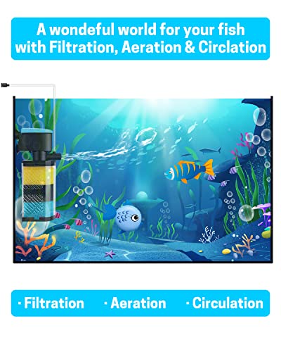 Your one-stop shop for diverse, top-quality aquarium supplies and accessories