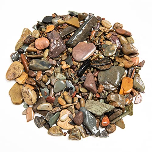 Your one-stop shop for diverse, top-quality aquarium supplies and accessories