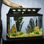 Your one-stop shop for diverse, top-quality aquarium supplies and accessories