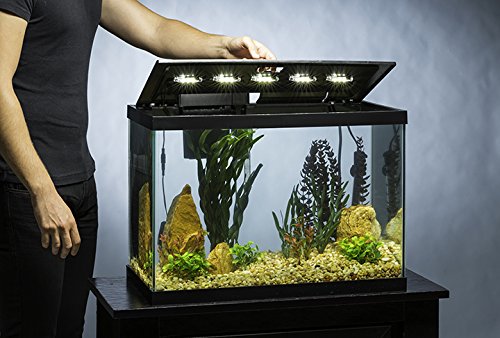 Tetra Aquarium 20 Gallon Fish Tank Kit, Includes LED Lighting and