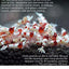 Your one-stop shop for diverse, top-quality aquarium supplies and accessories