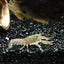 Your one-stop shop for diverse, top-quality aquarium supplies and accessories