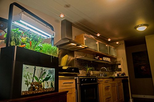 Your one-stop shop for diverse, top-quality aquarium supplies and accessories