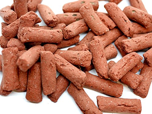 Your one-stop shop for diverse, top-quality aquarium supplies and accessories