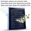 Your one-stop shop for diverse, top-quality aquarium supplies and accessories