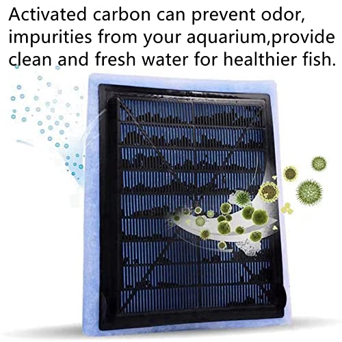 Your one-stop shop for diverse, top-quality aquarium supplies and accessories