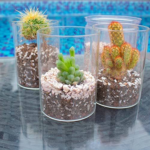 Your one-stop shop for diverse, top-quality aquarium supplies and accessories