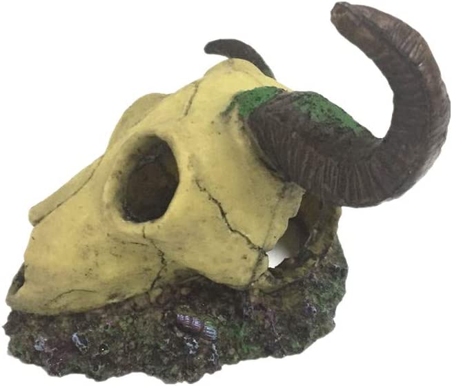 Your one-stop shop for diverse, top-quality aquarium supplies and accessories