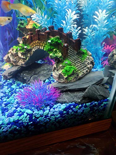 Your one-stop shop for diverse, top-quality aquarium supplies and accessories