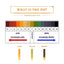 Your one-stop shop for diverse, top-quality aquarium supplies and accessories