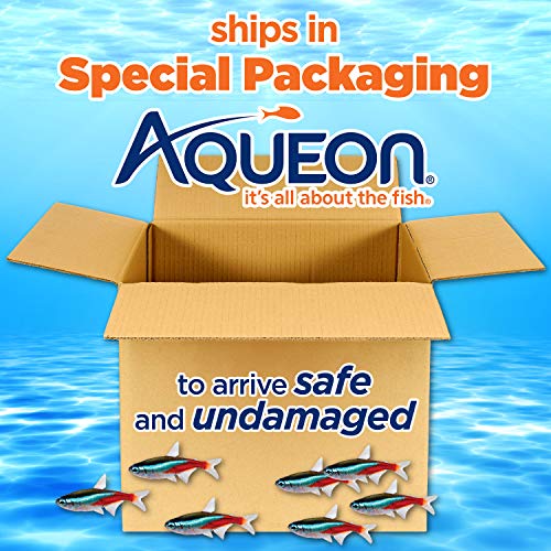 aqueon fish tank accessories Aqueon Aquarium Fish Tank Starter Kit with LED Lighting 10 Gallon Fish – Supply AG